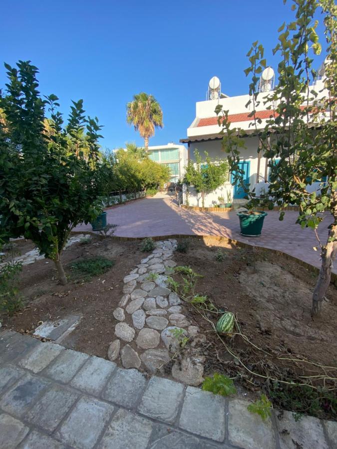 Karpasa Sunside Inn Hotel מראה חיצוני תמונה